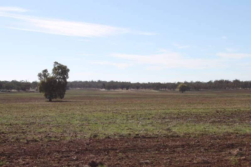 TRUNDLE NSW 2875, Trundle - Thumbnail 7