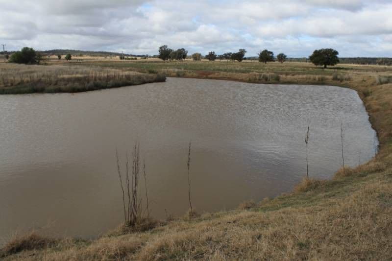 FORBES NSW 2871, Forbes - Thumbnail 4