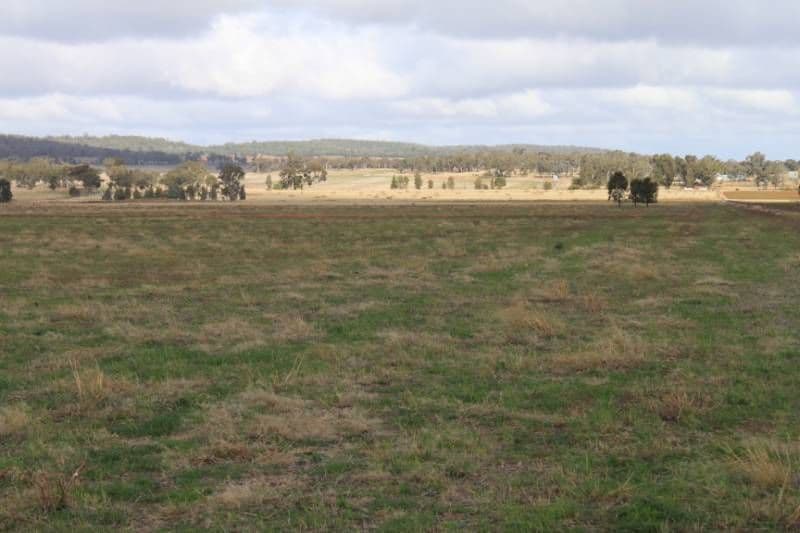 FORBES NSW 2871, Forbes - Thumbnail 3