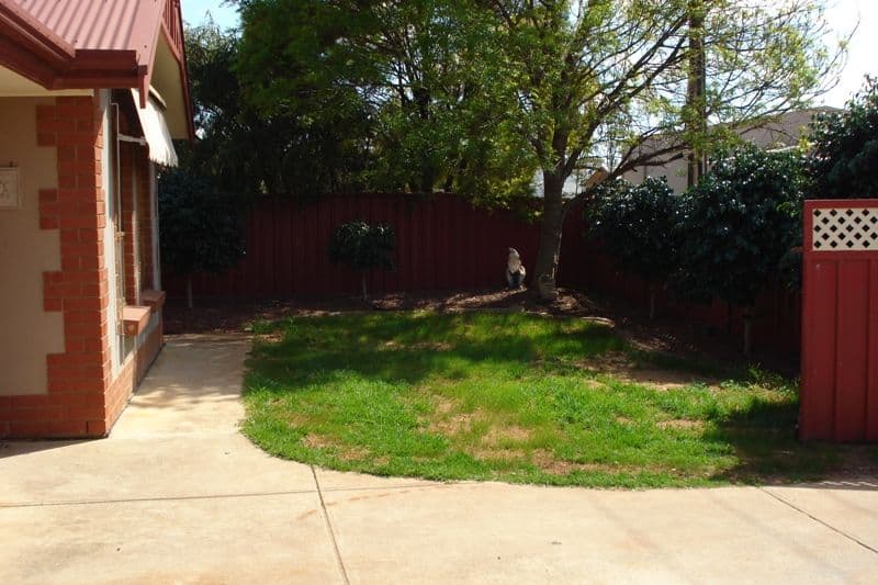 19 Hope Street, SMITHFIELD SA 5114, Smithfield - Thumbnail 8