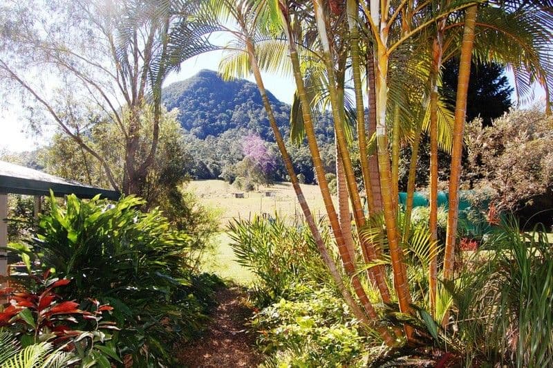 451 Gold Creek Road, EUMUNDI QLD 4562, Eumundi - Image 1