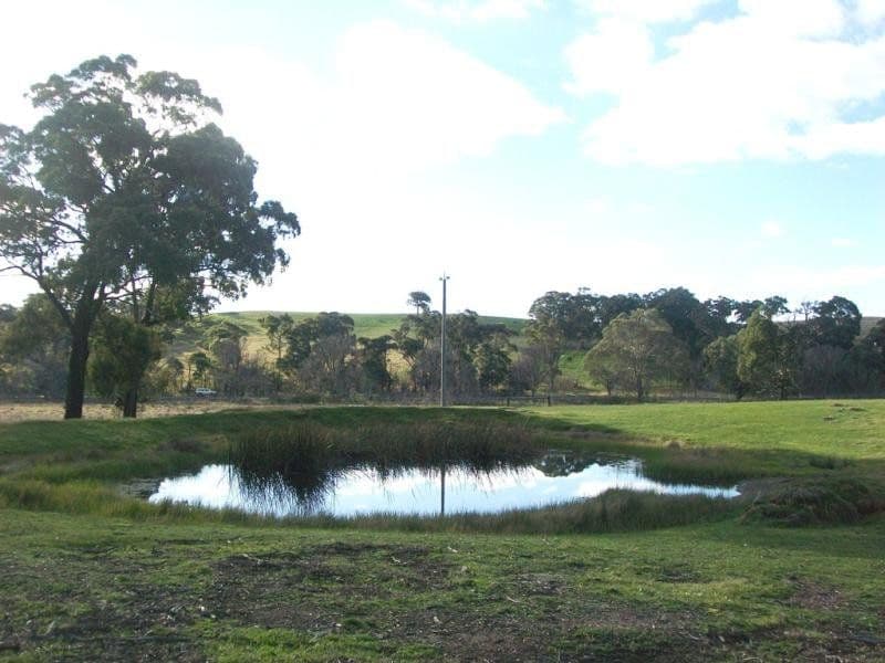 58E Western Highway, BEAUFORT  Victoria  3373, Australia, Beaufort - Thumbnail 8