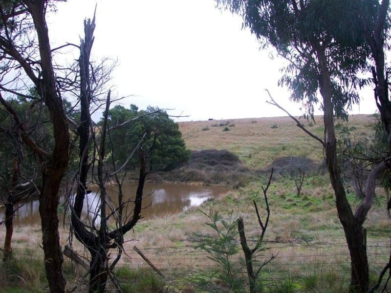 CA 8 Cellante Road, BERRINGA  Victoria  3351, Australia, Berringa - Thumbnail 2