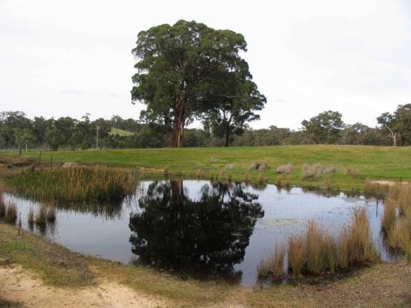 58E Western Highway, BEAUFORT  Victoria  3373, Australia, Beaufort - Thumbnail 2