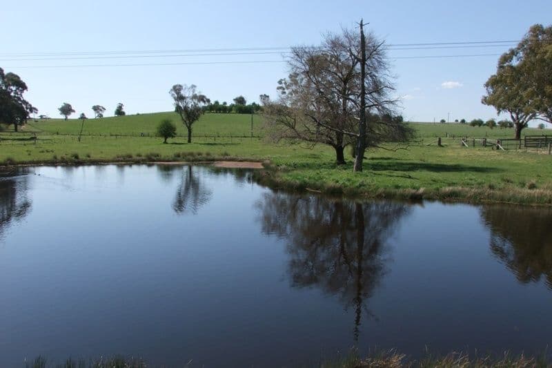 287 Wombiana Lane, BLAYNEY NSW 2799, Blayney - Thumbnail 2