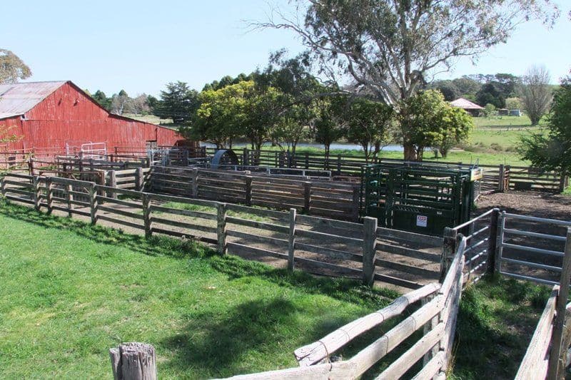 287 Wombiana Lane, BLAYNEY NSW 2799, Blayney - Thumbnail 3