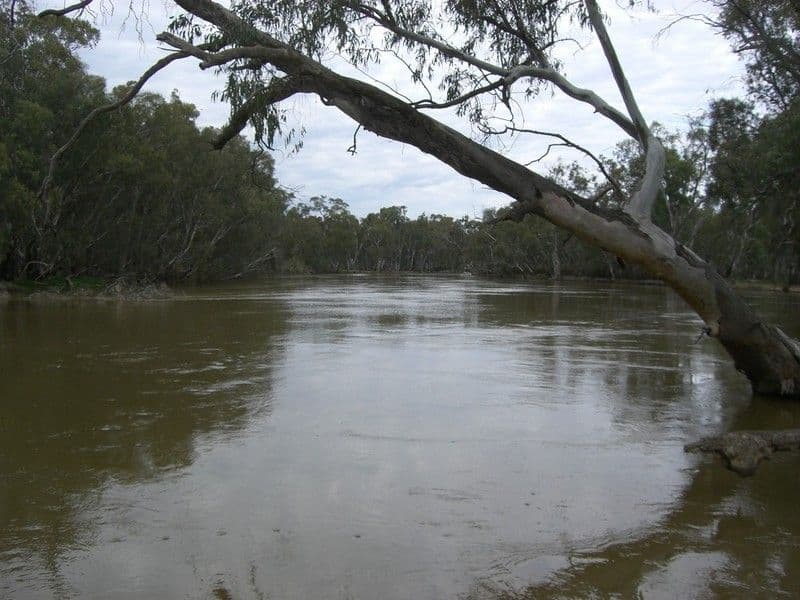 00 Malley Downs, SWAN HILL VIC 3585, Swan Hill - Thumbnail 7