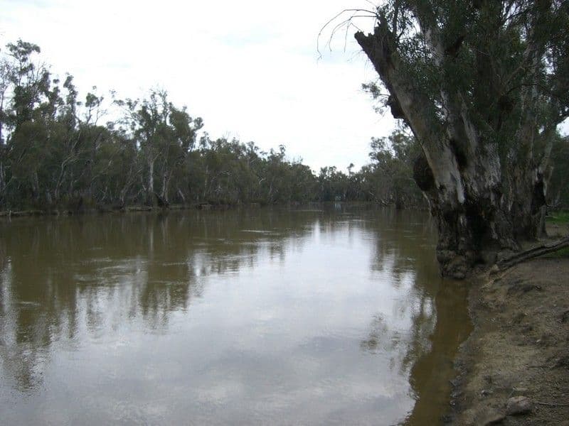 00 Malley Downs, SWAN HILL VIC 3585, Swan Hill - Image 1