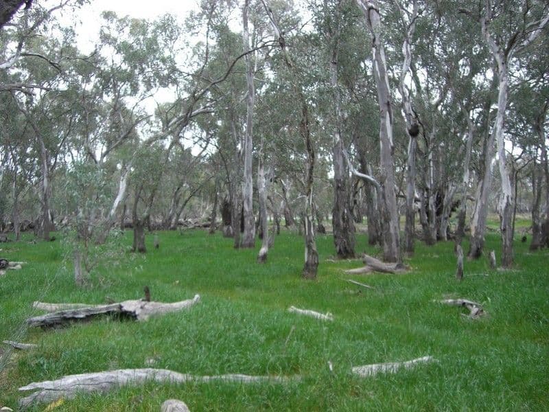 00 Malley Downs, SWAN HILL VIC 3585, Swan Hill - Thumbnail 8