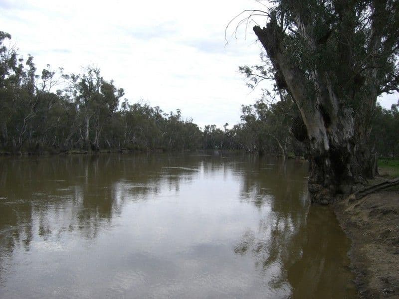 00 Malley Downs, SWAN HILL VIC 3585, Swan Hill - Thumbnail 2
