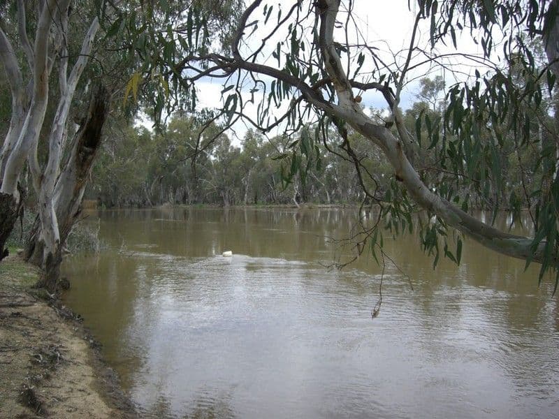 00 Malley Downs, SWAN HILL VIC 3585, Swan Hill - Thumbnail 3