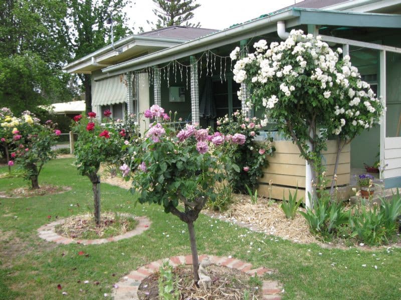 3881 Sunraysia Highway, STUART MILL VIC 3478, Stuart Mill - Image 1