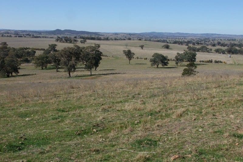 0 Mitchell Highway, MOLONG NSW 2866, Molong - Thumbnail 8