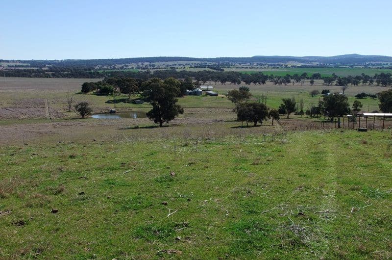 0 Mitchell Highway, MOLONG NSW 2866, Molong - Thumbnail 7