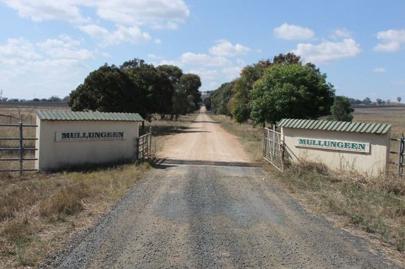 0 Mitchell Highway, MOLONG NSW 2866, Molong - Thumbnail 2