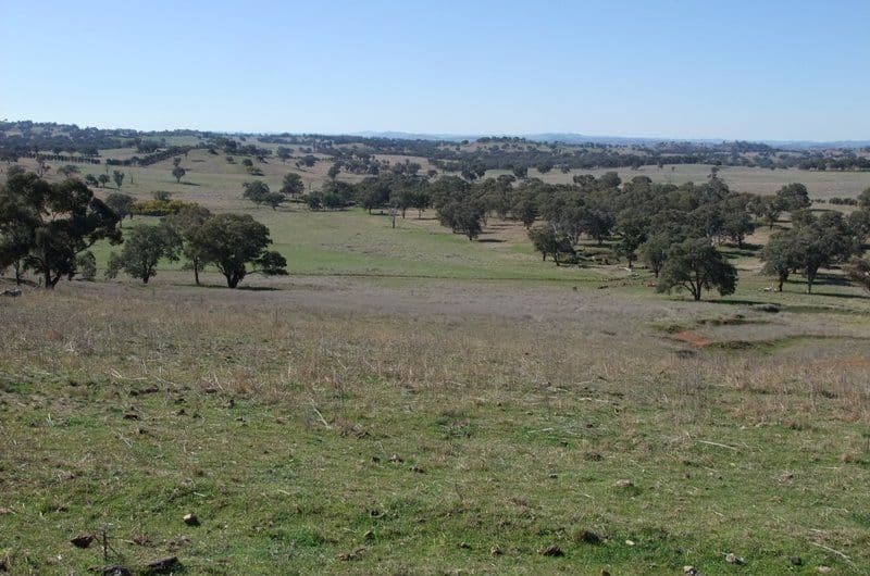 0 Mitchell Highway, MOLONG NSW 2866, Molong - Image 1