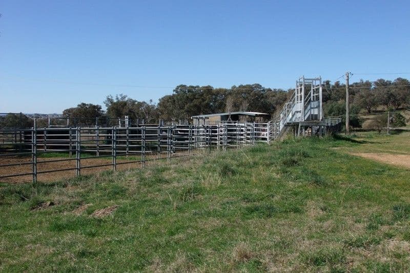 0 Mitchell Highway, MOLONG NSW 2866, Molong - Thumbnail 4