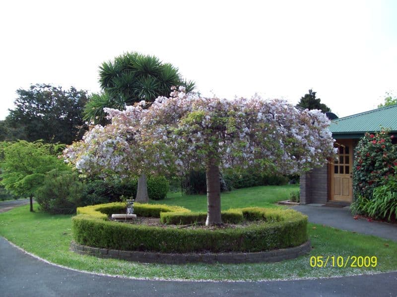 165 Deviot Road, DEVIOT TAS 7275, Deviot - Thumbnail 2