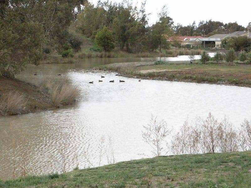 21 Kingfisher Drive, MOAMA NSW 2731, Moama - Thumbnail 2