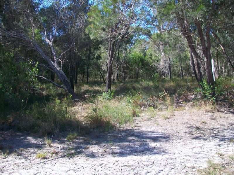 31 Magnolia Street, RUSSELL ISLAND QLD 4184, Russell Island - Image 1