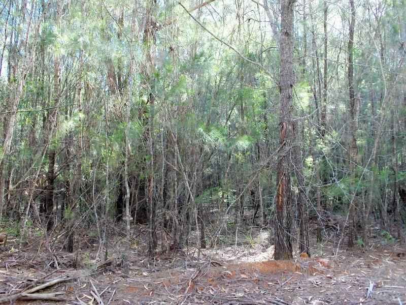 10 Saturn, RUSSELL ISLAND QLD 4184, Russell Island - Image 1