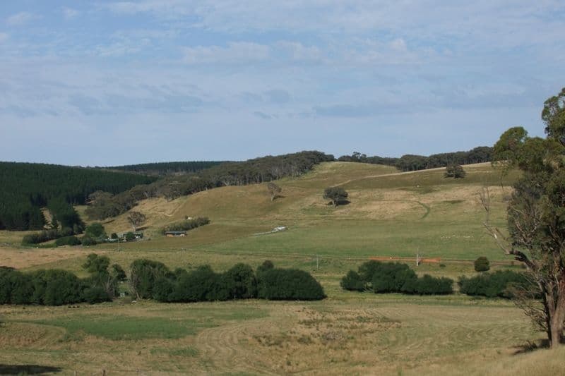 289 Woodville Road, ORANGE NSW 2800, Orange - Thumbnail 6