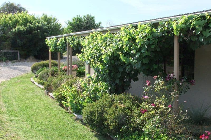 289 Woodville Road, ORANGE NSW 2800, Orange - Thumbnail 5