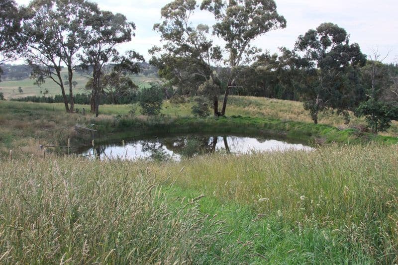 289 Woodville Road, ORANGE NSW 2800, Orange - Thumbnail 3
