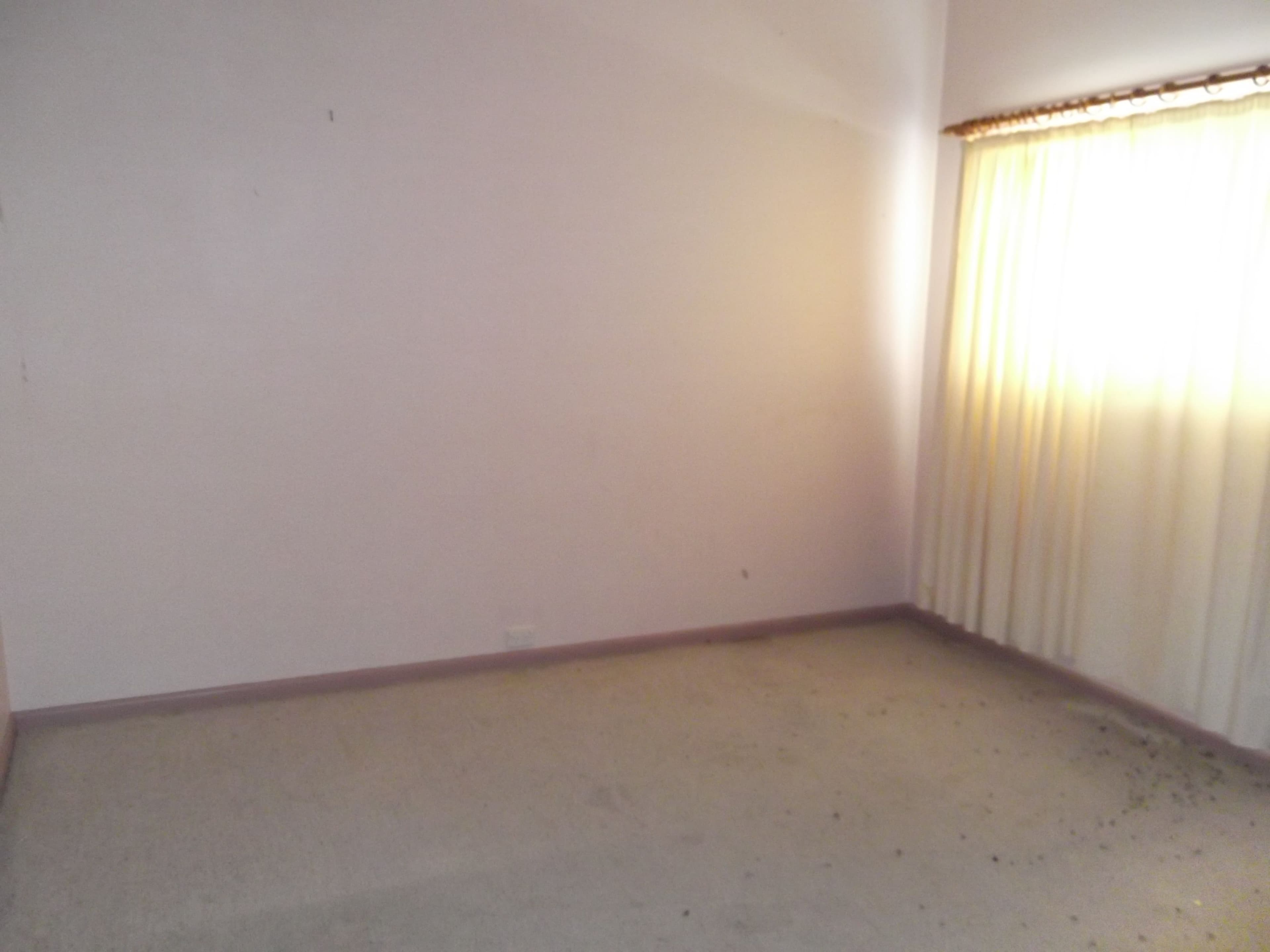 141 Henry Street, WERRIS CREEK NSW 2341, Werris Creek - Thumbnail 5