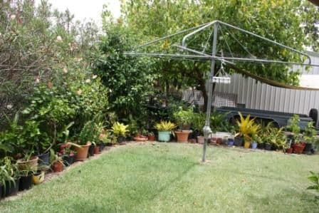 37 Stuart-Russell Street, MUNDUBBERA QLD 4626, Mundubbera - Thumbnail 7