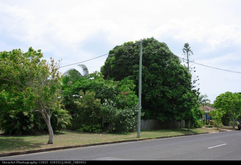 178 Cypress Street, URANGAN QLD 4655, Urangan - Thumbnail 8