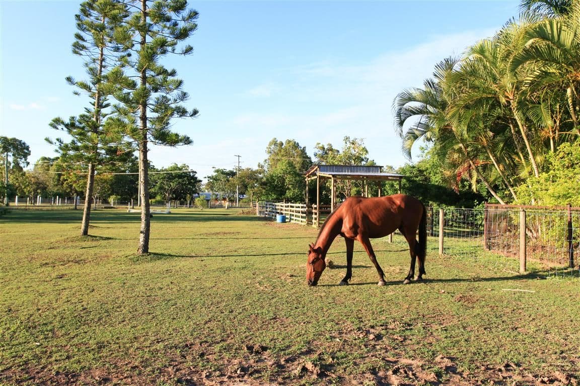 1 Willis Street, SHARON QLD 4670, Sharon - Thumbnail 5