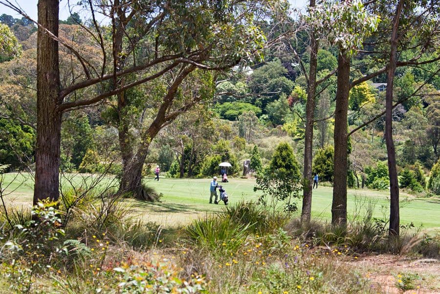 Lot 1 Brightlands Avenue, BLACKHEATH NSW 2785, Blackheath - Thumbnail 2