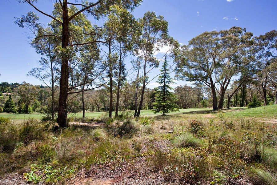 Lot 1 Brightlands Avenue, BLACKHEATH NSW 2785, Blackheath - Thumbnail 7