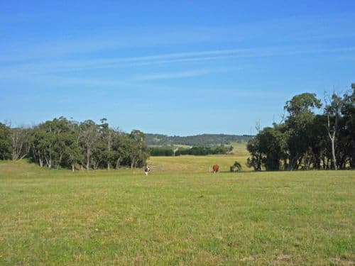 628 mulloon Road, BUNGENDORE NSW 2621, Bungendore - Thumbnail 8