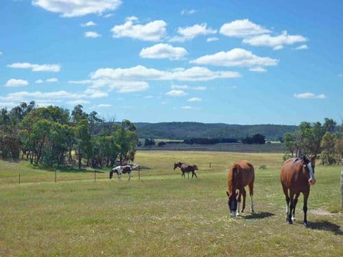 628 mulloon Road, BUNGENDORE NSW 2621, Bungendore - Thumbnail 5