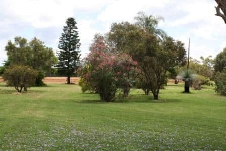 90 Merediths  Road, MUNDUBBERA QLD 4626, Mundubbera - Thumbnail 3