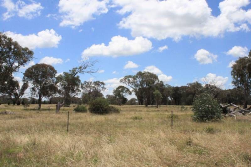 CUMNOCK NSW 2867, Cumnock - Thumbnail 7