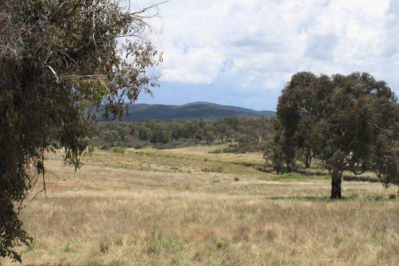 CUMNOCK NSW 2867, Cumnock - Thumbnail 5