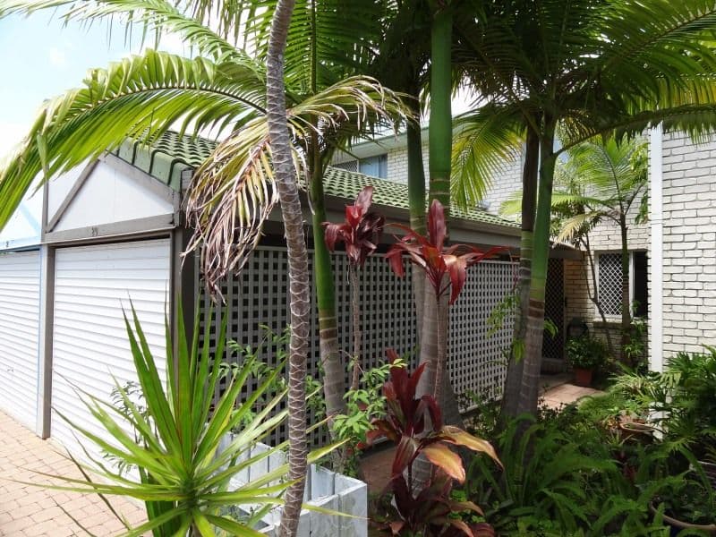 104 Millwell Road, MAROOCHYDORE QLD 4558, Maroochydore - Thumbnail 2