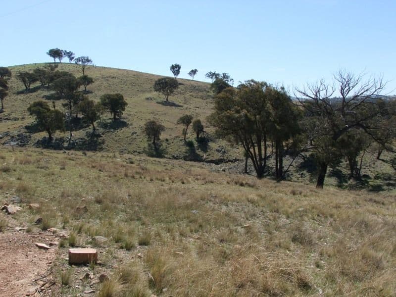 ORANGE NSW 2800, Orange - Thumbnail 4