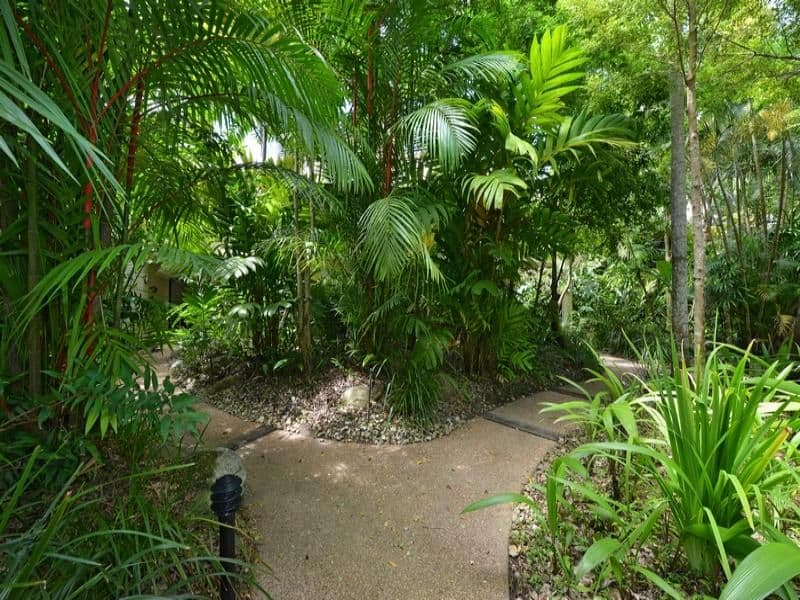 Thornton @ St Crispins, PORT DOUGLAS QLD 4877, Port Douglas - Thumbnail 8