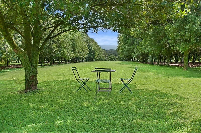 28 Rayward Road, DUNOON NSW 2480, Dunoon - Thumbnail 4