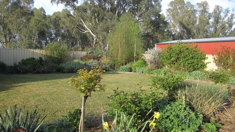 17 Barwon Street, NAGAMBIE VIC 3608, Nagambie - Thumbnail 8