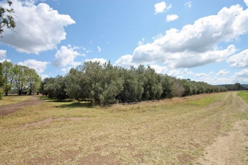 MONTO QLD 4630, Monto - Thumbnail 7