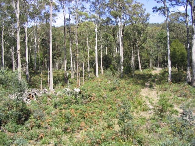 225 Salisbury Hill Road, FLOWERY GULLY TAS 7270, Flowery Gully - Image 1