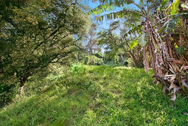 42 Brown Street, BRONTE NSW 2024, Bronte - Thumbnail 2