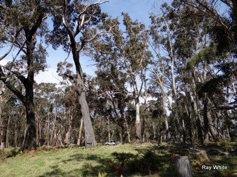 105 Kings Highway, Braidwood NSW 2622, Braidwood - Thumbnail 8