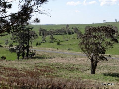 105 Kings Highway, Braidwood NSW 2622, Braidwood - Thumbnail 3