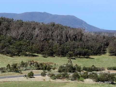 105 Kings Highway, Braidwood NSW 2622, Braidwood - Image 1